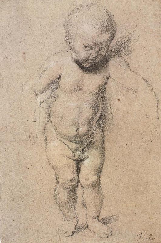 Peter Paul Rubens Jesus-s Childhood France oil painting art